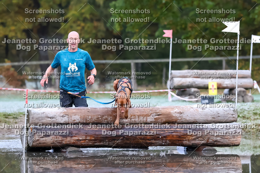 Dog Paparazzi - Strongdog 10-25-6099 | Dog Paparazzi Jeanette Grottendiek Fotografie & Videografie - Realisiert mit Pictrs.com