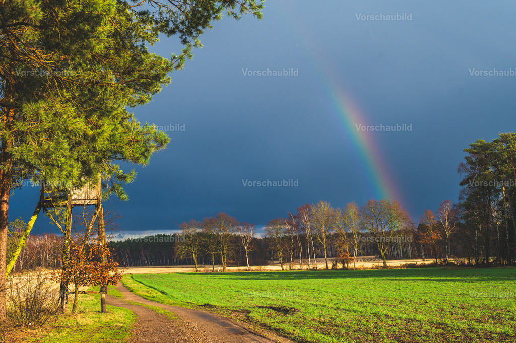 Fotoatelier Christian Hofmeister | Stadtlandschaften, sowie Makro-, Landschafts-, Natur- und Schwarzweißfotos aus der Region Celle &amp; Umgebung