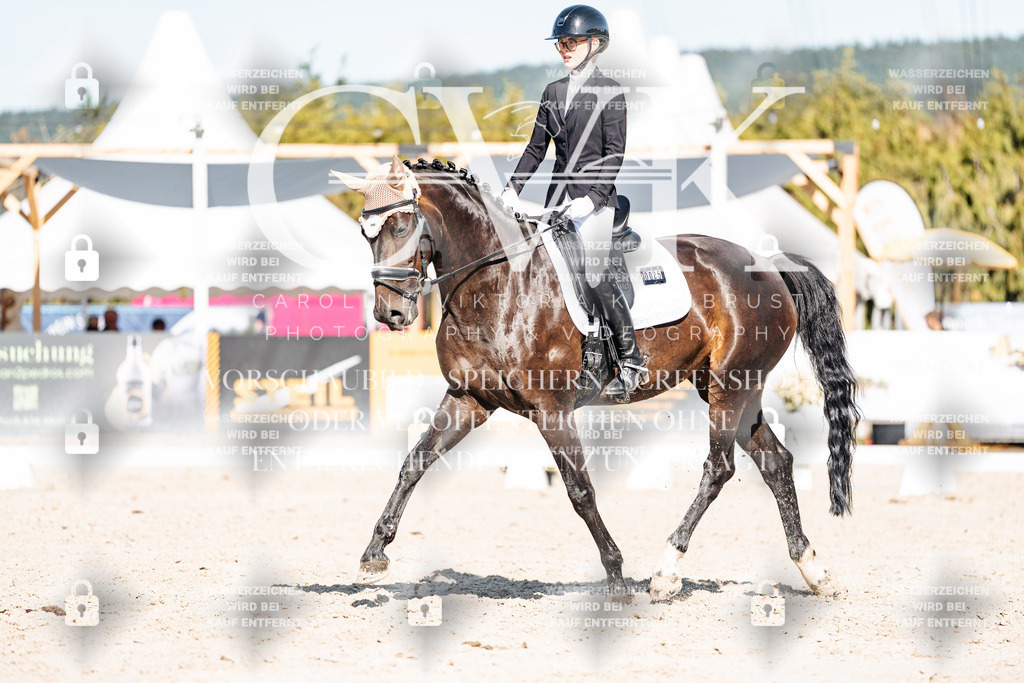 CK908405 | Turnierfotografie Pferdefotografie Trier Rheinland-Pfalz Pferdesport Reitsport Tierfotografie Sportfotografie Pferdevideo Pferdevideografie Equestrianvideography equestrianphotography  - Realisiert mit Pictrs.com