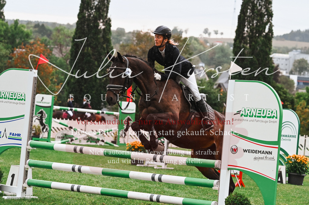 DSC_6408 | Pferde- und Turnierfotografie in Westsachsen. Pferdeportraits, Auftragszeichnungen und intuitive Kunst.