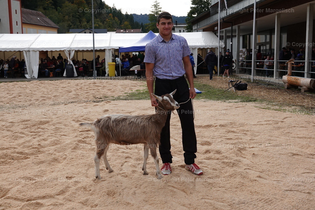 DSC00111 | Schwingen - Realisiert mit Pictrs.com