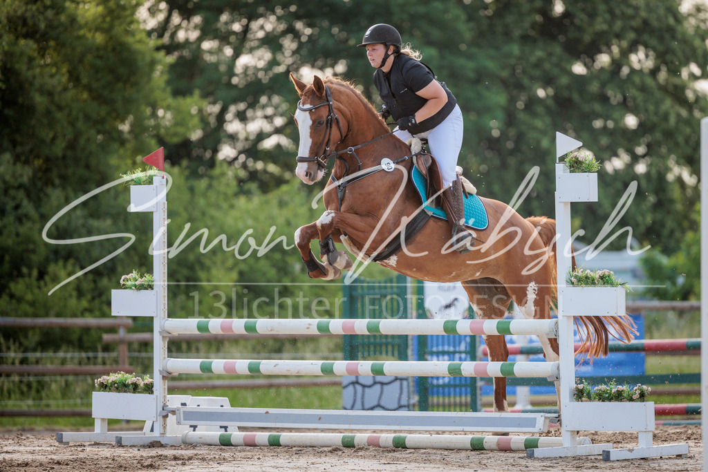 20260529-_3LI1328 | Tierfotografie Pferde, Hunde, Katzen, Haustiere.
Turnierfotografie Reitturniere, Reiten, Springreiten, Dressur in Hanau, dem Main-Kinzig-Kreis und dem Rhein-Main- Gebiet um Frankfurt