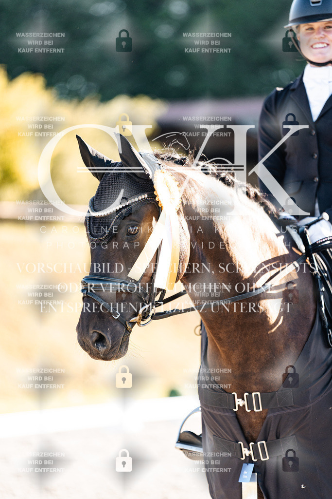 CK907256 | Turnierfotografie Pferdefotografie Trier Rheinland-Pfalz Pferdesport Reitsport Tierfotografie Sportfotografie Pferdevideo Pferdevideografie Equestrianvideography equestrianphotography  - Realisiert mit Pictrs.com