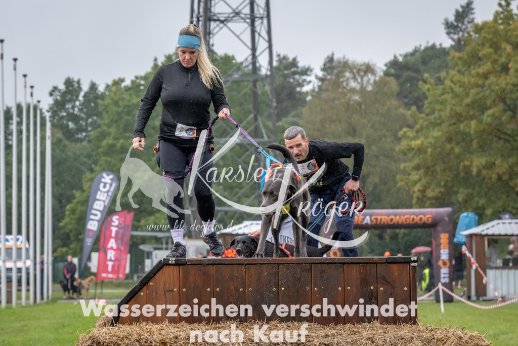 1323--6 | kk-dogfotos