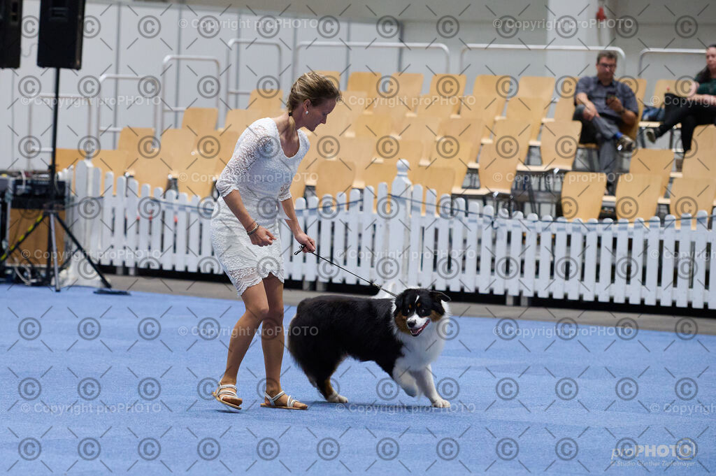 202406_ÖKV-IHA-Tulln24_DSC_3342 | proPHOTO - Realisiert mit Pictrs.com