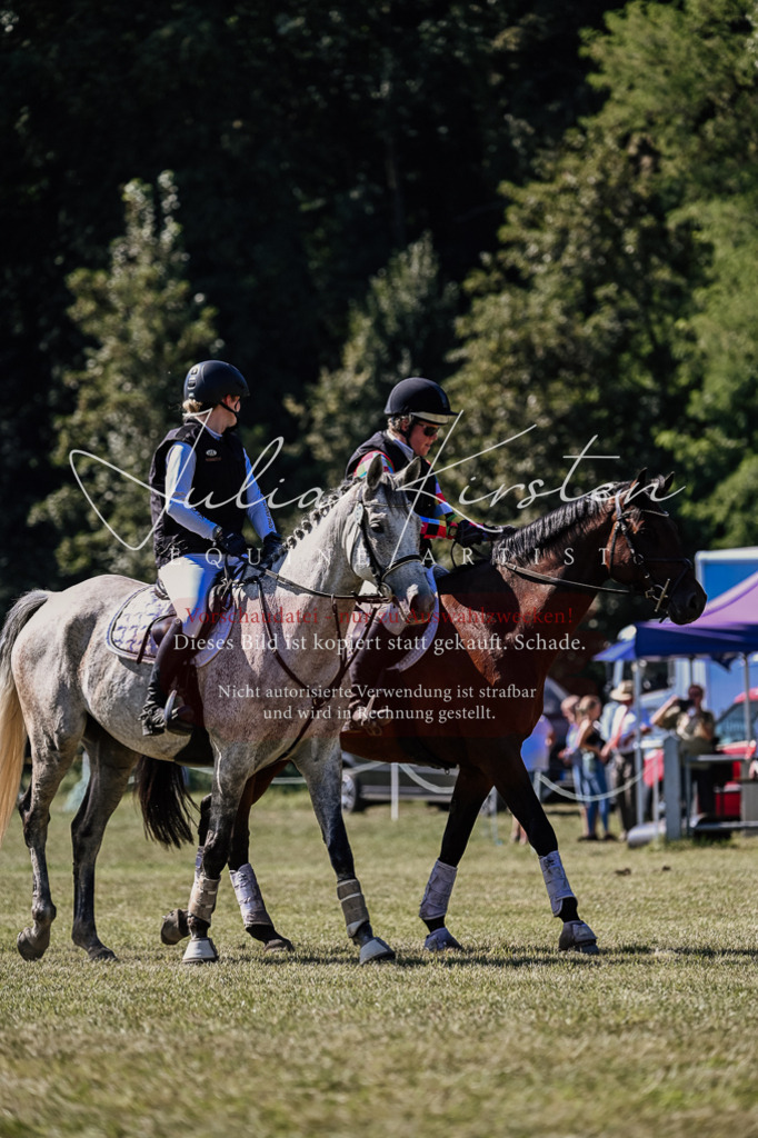 DSC_2570 | Pferde- und Turnierfotografie in Westsachsen. Pferdeportraits, Auftragszeichnungen und intuitive Kunst.