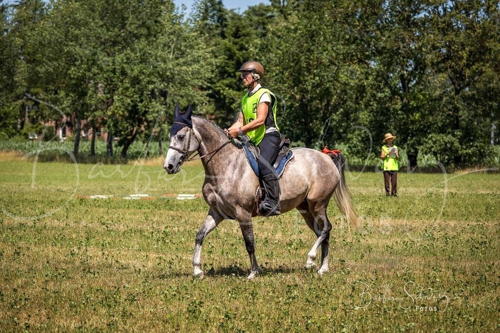 CJP_2026-06-26_12 | Stimmungsvolle Fotografie von Pferden, fotografische Begleitung von Veranstaltungen, Golfturnieren und Distanzritten - Realisiert mit Pictrs.com