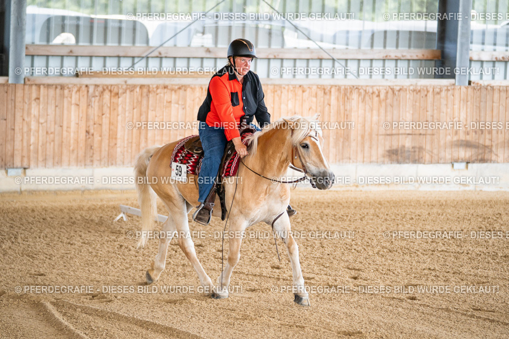 DSC01513 | Pferdegrafie