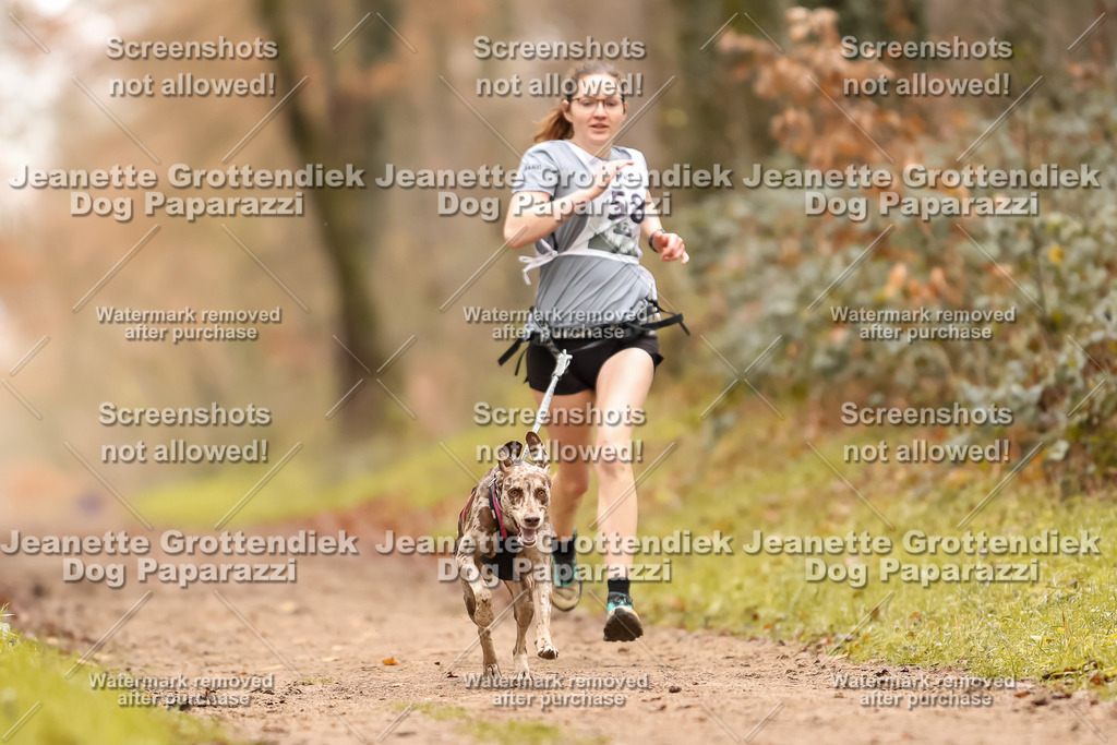Dog Paparazzi - Speedhunter Mannheim  2025-164 | Dog Paparazzi Jeanette Grottendiek Fotografie & Videografie