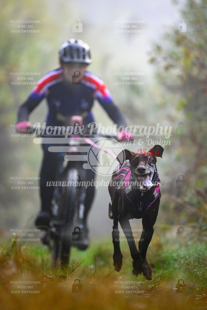 MompixPhotography_20TSB_E4_Bike-29 | PayLife