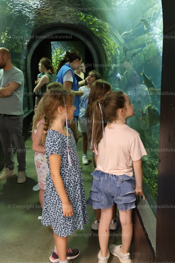 17 | Outdoor Fotografie. Kinder- Familien und Portraitfotografie. Natürliche lebendige Fotos draußen an einer Location deiner Wahl. 
