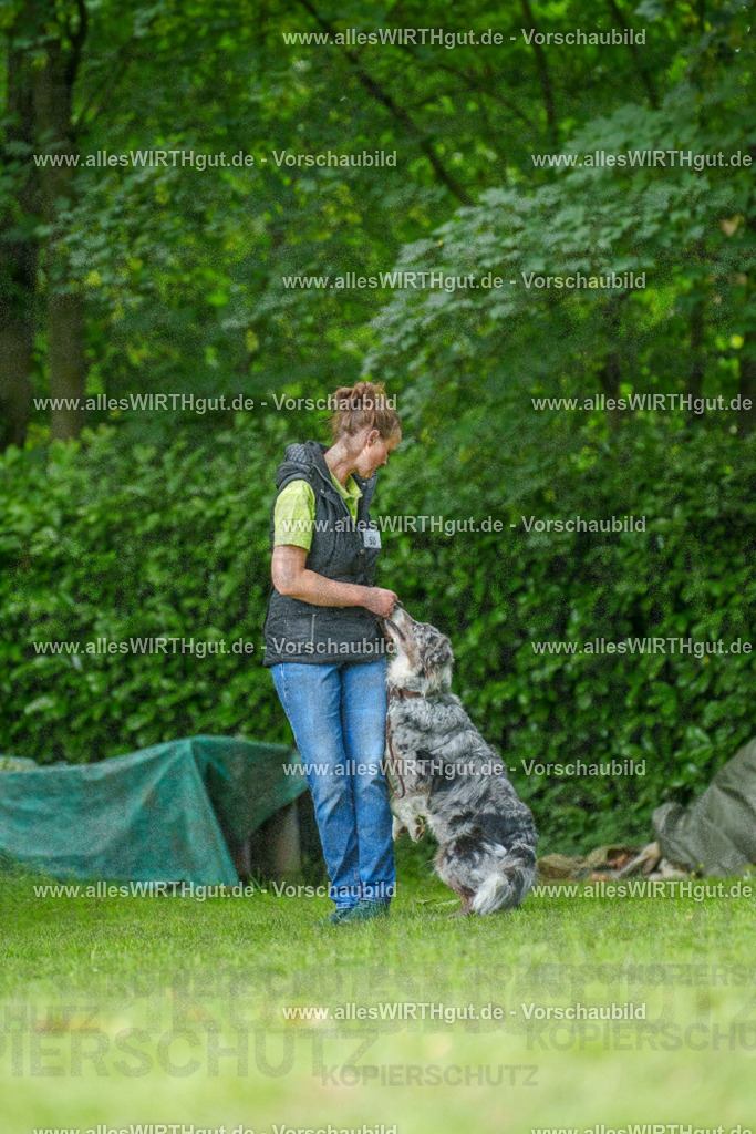 @allesWIRTHgut_Tierfotografie - www.allesWIRTHgut.de - 7R505833 | Professionelle Tierfotografie in Mönchengladbach von Daniel Wirth (allesWIRTHgut). Liebevolle & natürliche Bilder von Hunden & Katzen für unvergessliche Erinnerungen.