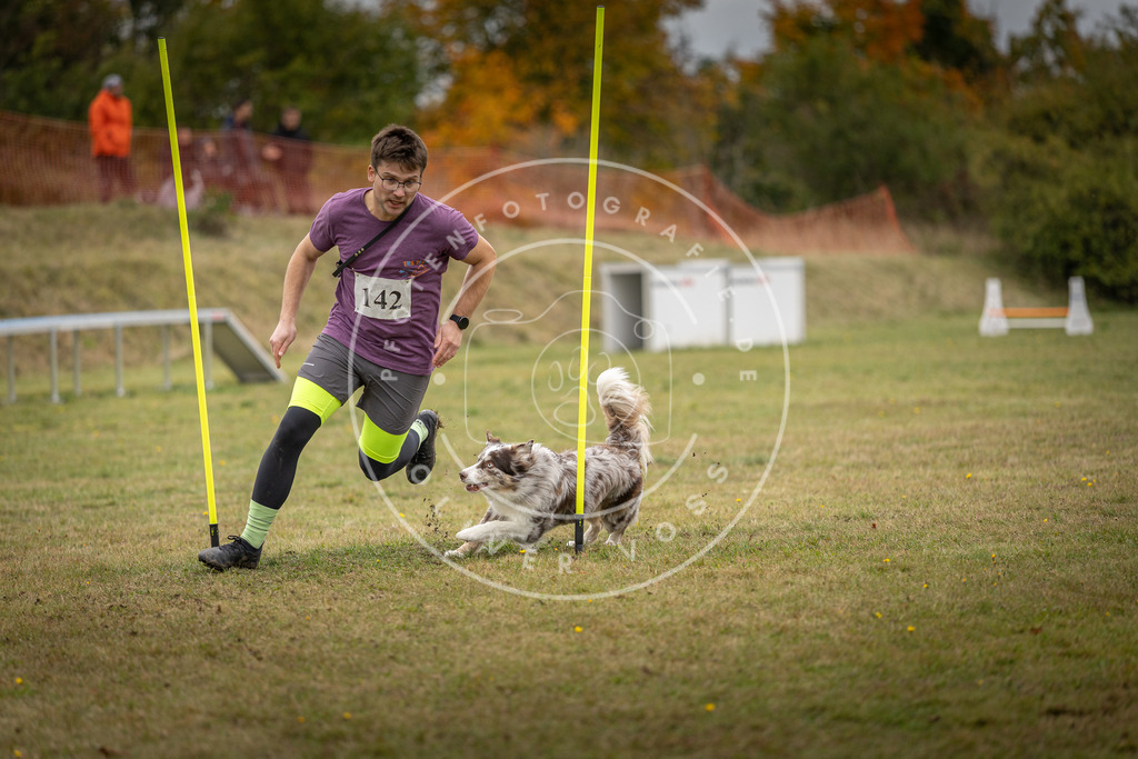 Pfotenfotografie_DV3A8255 | Hundefotografie, Tierfotograf, Pfotenfotografie, Fotoshooting Hund, Hunde Portrait, Hundesport, Hundeportraits, Heideshooting, Hunde, Sportfotograf, Hundefotograf, Turnierhundsport, THS,  - Realisiert mit Pictrs.com