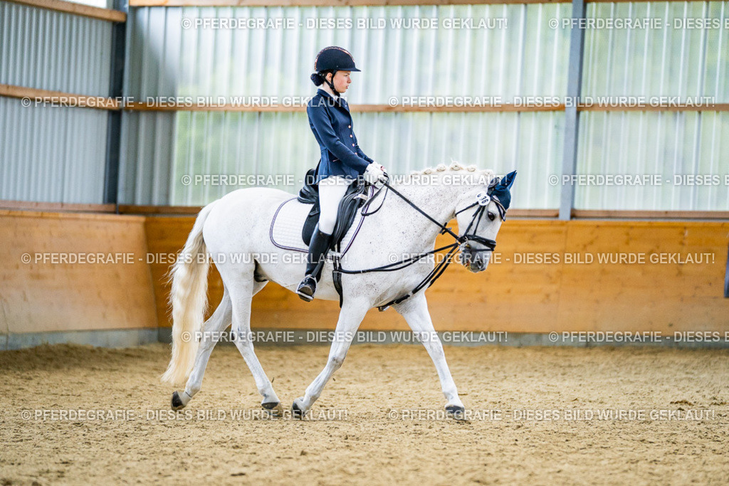 DSC04867 | Pferdegrafie