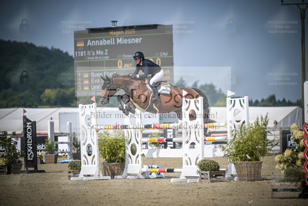 DOS_1339 | Entdecke hochwertige Reitturnierfotos von Foto Oger. Professionell, emotional und authentisch – jetzt Lieblingsmomente im Shop bestellen. - Realisiert mit Pictrs.com