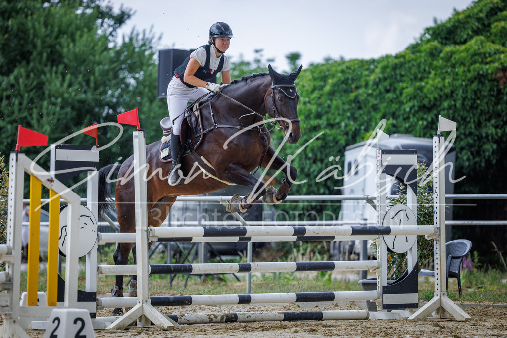 20260705-_3LI4431 | Tierfotografie Pferde, Hunde, Katzen, Haustiere.
Turnierfotografie Reitturniere, Reiten, Springreiten, Dressur in Hanau, dem Main-Kinzig-Kreis und dem Rhein-Main- Gebiet um Frankfurt