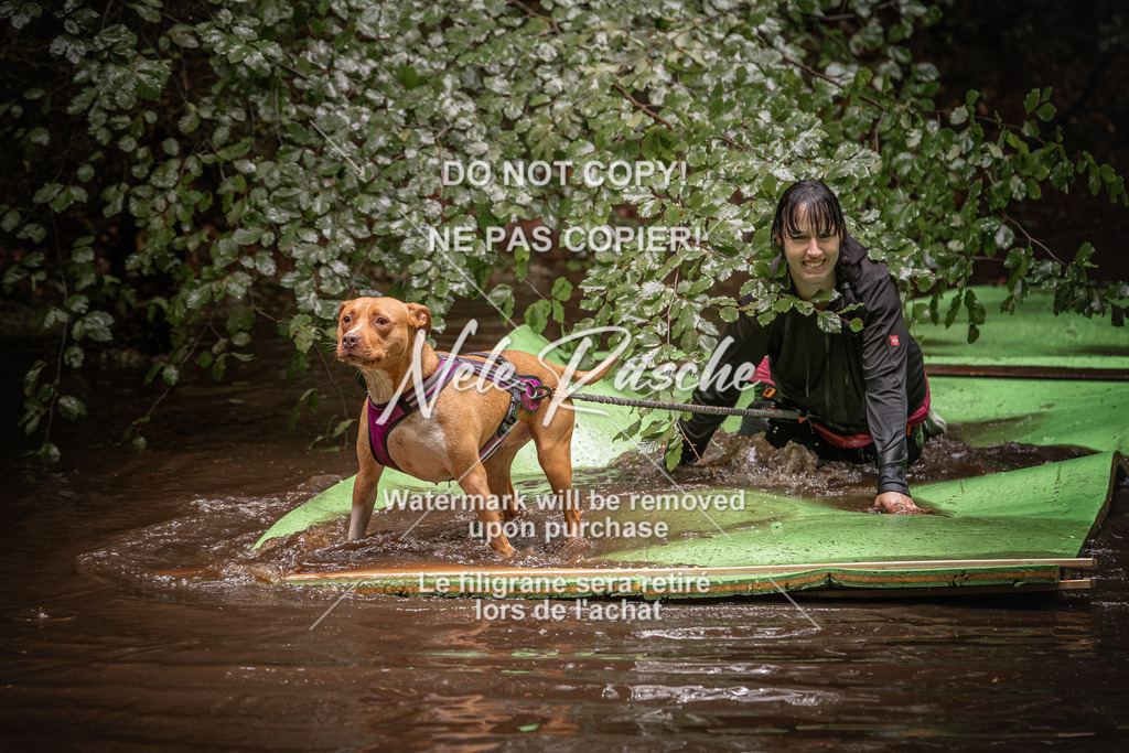 nelerasche_Wingst_Sa1330-1400_18 | nelerasche