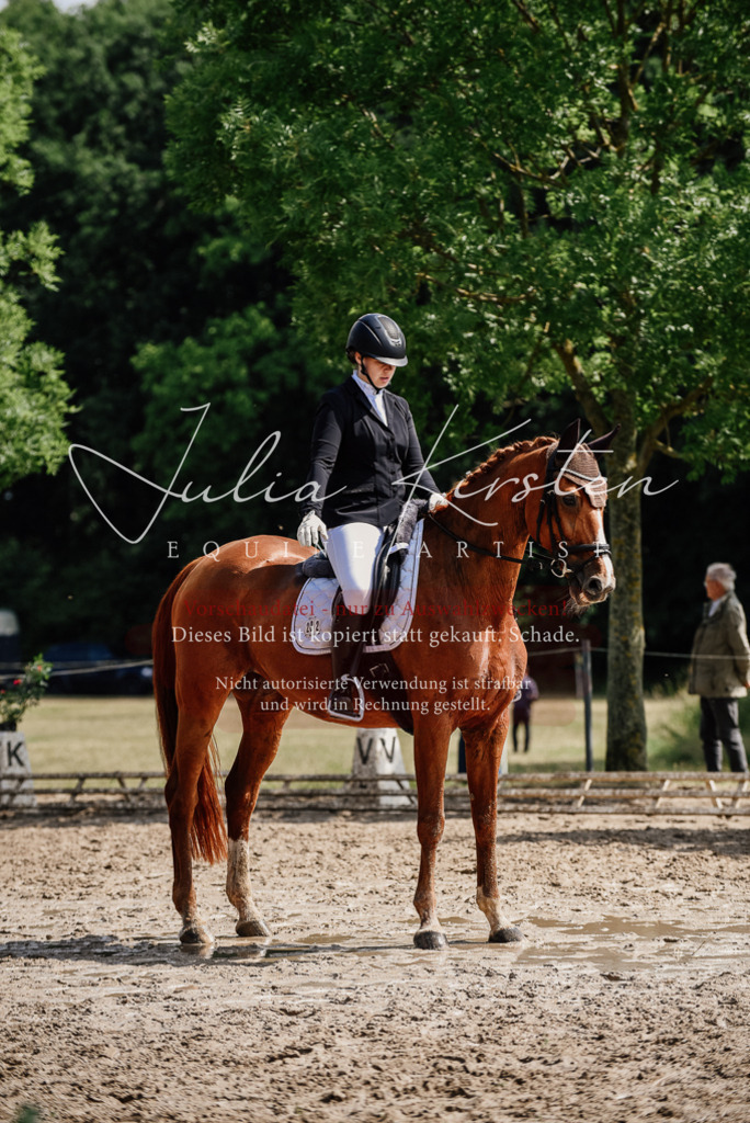 DSC_0267 | Pferde- und Turnierfotografie in Westsachsen. Pferdeportraits, Auftragszeichnungen und intuitive Kunst.
