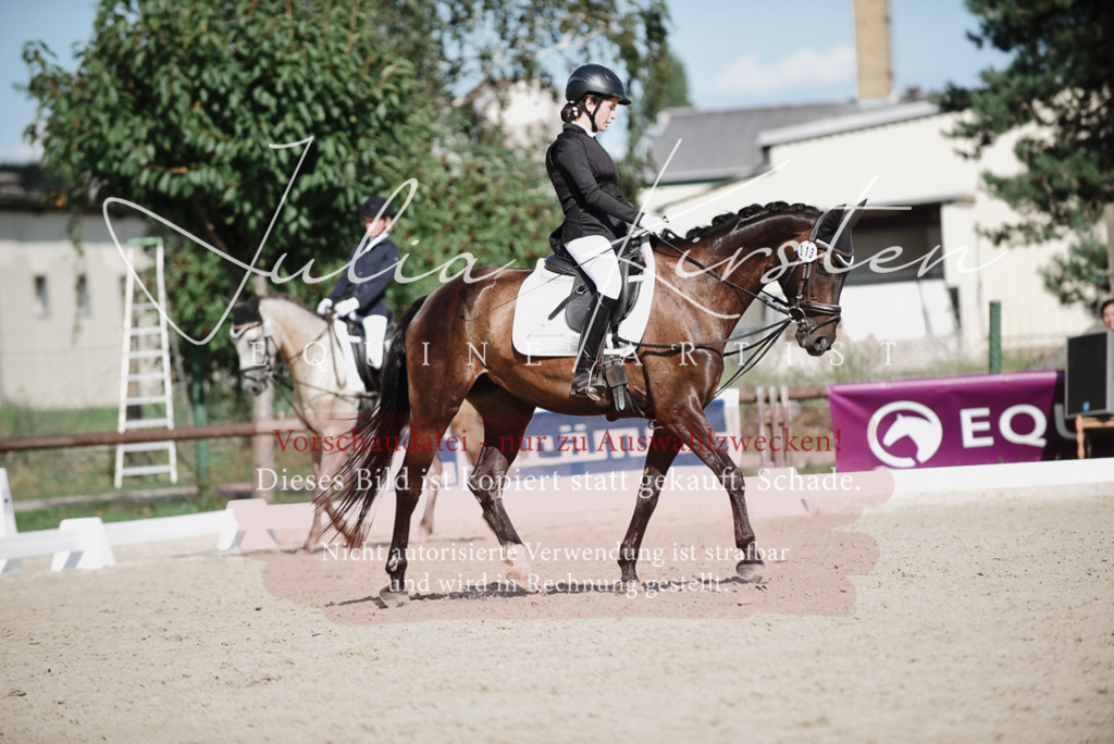 DSC_9928 | Pferde- und Turnierfotografie in Westsachsen. Pferdeportraits, Auftragszeichnungen und intuitive Kunst.