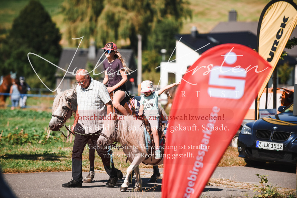 DSC_2676 | Pferde- und Turnierfotografie in Westsachsen. Pferdeportraits, Auftragszeichnungen und intuitive Kunst.