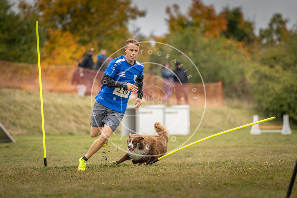 Pfotenfotografie_DV3A5375 | Hundefotografie, Tierfotograf, Pfotenfotografie, Fotoshooting Hund, Hunde Portrait, Hundesport, Hundeportraits, Heideshooting, Hunde, Sportfotograf, Hundefotograf, Turnierhundsport, THS,  - Realisiert mit Pictrs.com