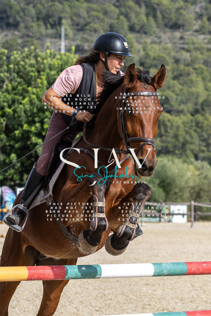 IMG_3572 | s-jay-photography - Realisiert mit Pictrs.com