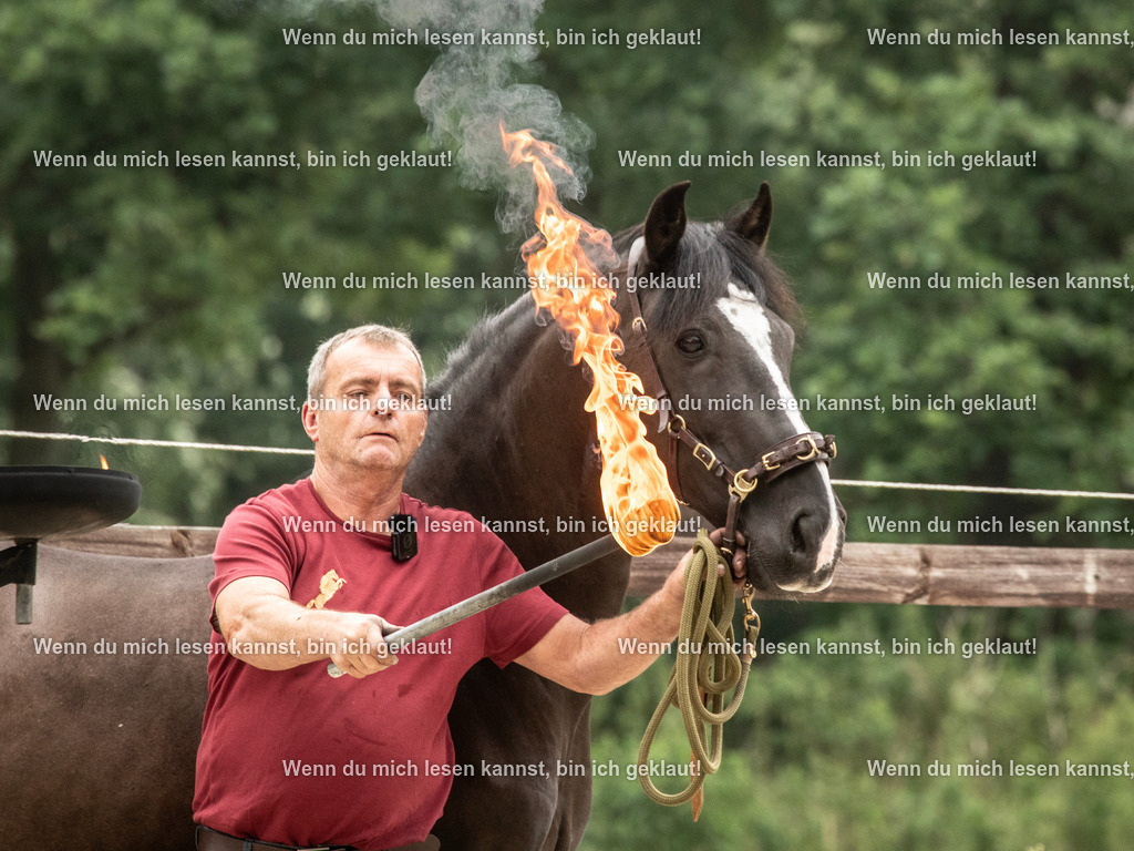 598A7511 | photographylinaismer - Realisiert mit Pictrs.com