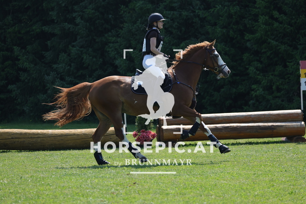 0P6A7811 | Willkommen bei Brunnmayr - Design & Fotografie – Ihrem Spezialisten für Reitturniere und Pferdeveranstaltungen in Oberösterreich, Salzburg und Bayern! Seit über 17 Jahren sind wir leidenschaftlich dabei.