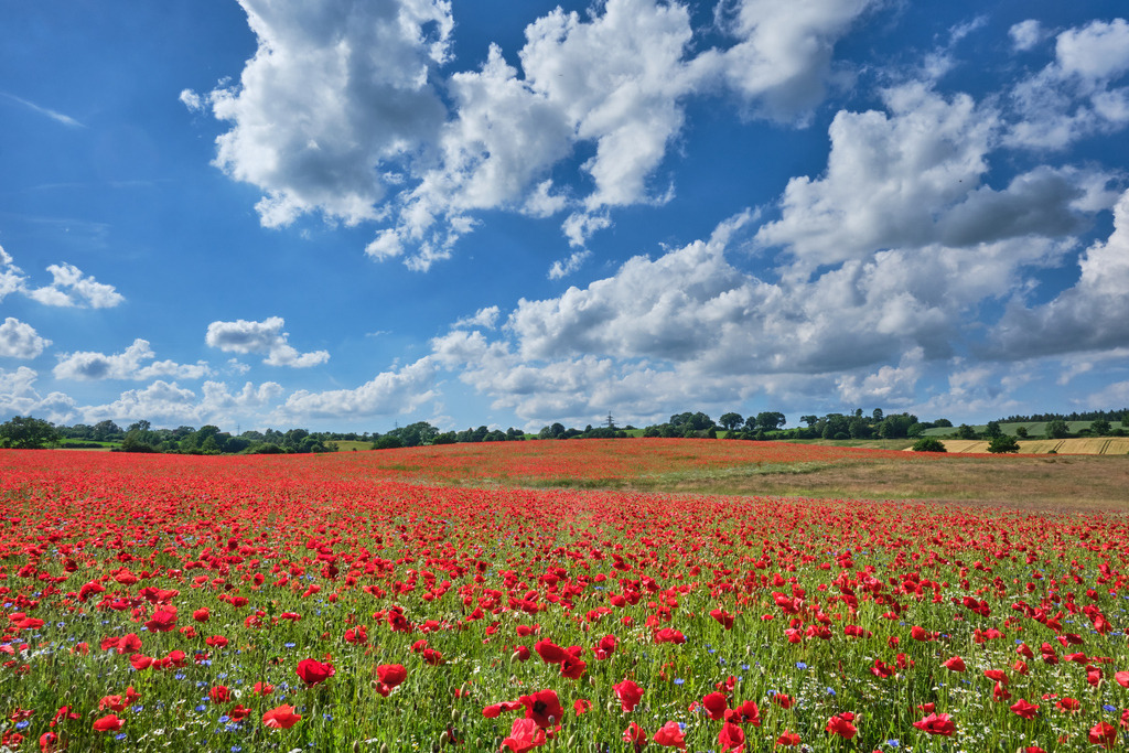 DSCF4999 | Entdecken Sie hochwertige Fotoprodukte für Ihr Zuhause, Büro oder als besonderes Geschenk.rpixel.de bietet Ihnen exklusive Fotografien aus den Bereichen Natur, Landschaft und Motiven vom Meer.Einfach direkt im Online-Shop bestellen. - Realisiert mit Pictrs.com