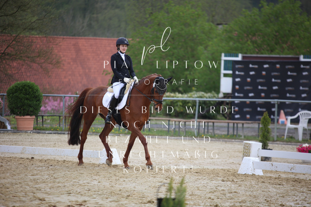 IMGT6636 | pl-fotografie