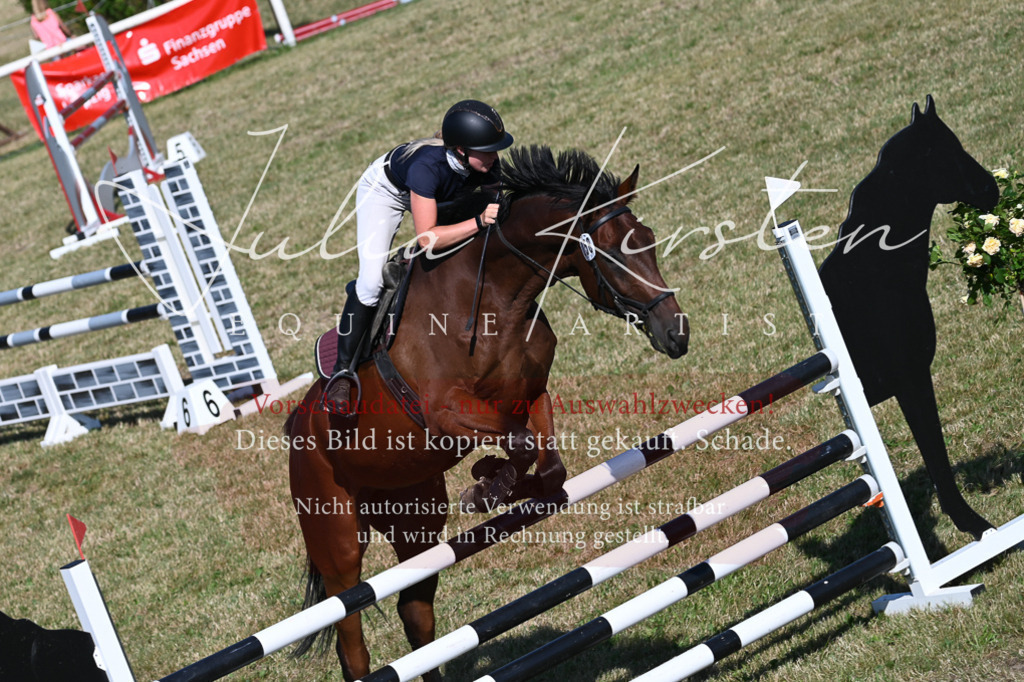 DSC_2358 | Pferde- und Turnierfotografie in Westsachsen. Pferdeportraits, Auftragszeichnungen und intuitive Kunst.
