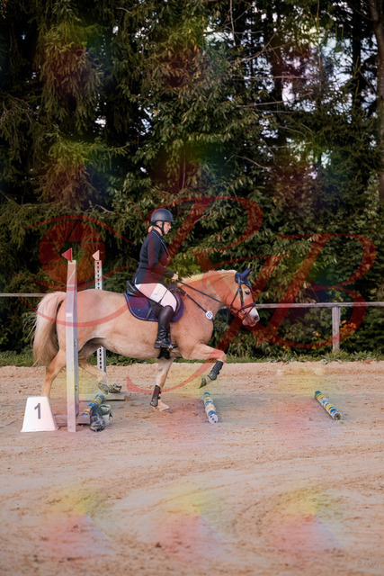2026_10_03_Siefer-Hof_145226_Z81_31325209 | Professionelle Reitsport-, Turnier- und Eventfotografie von Robert Broda. Galerien mit ausgewählten und bearbeiteten Bildern direkt online ansehen und bestellen.