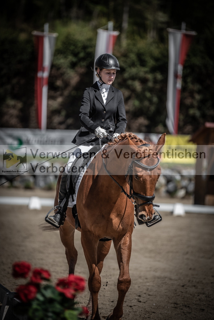 DSC_0002 | equestrian-live-com