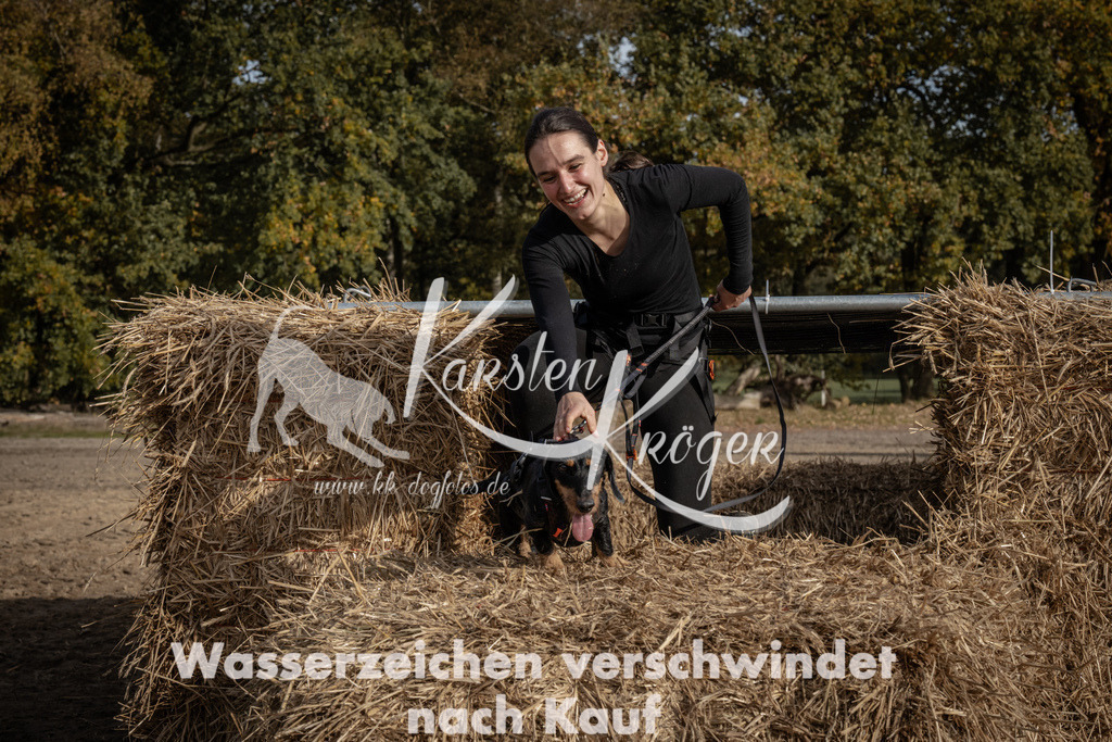 1213_ZZ93761 | kk-dogfotos