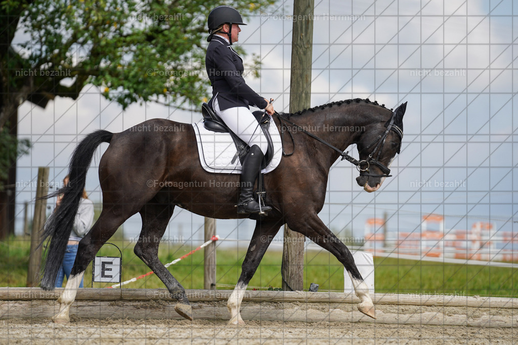 20230826-FAH05289 | Forstinning, 2023, Dressurturnier, Turniersportbilder, Turnierfotografen Bayern, Fotoagentur Herrmann, Reitsportfotografie, Turnierbilder