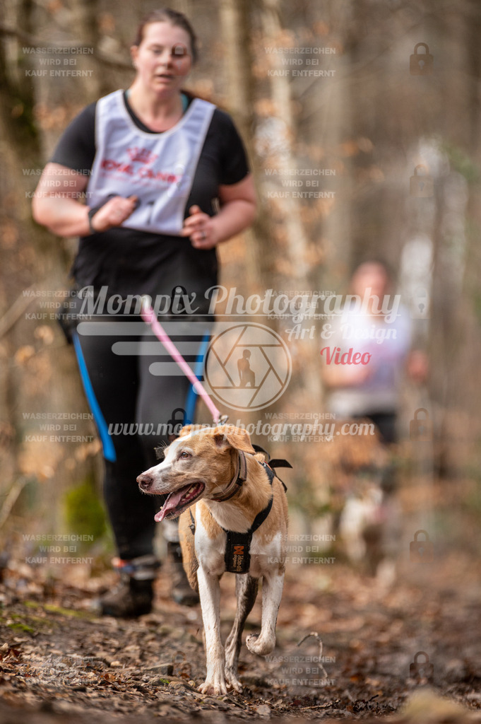 SPA_2023_DIM_CCK-124 | PayLife
