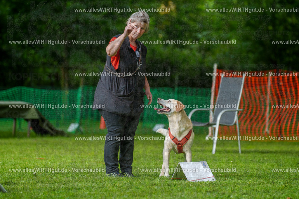 @allesWIRTHgut_Tierfotografie - www.allesWIRTHgut.de - 7R502195 | Professionelle Tierfotografie in Mönchengladbach von Daniel Wirth (allesWIRTHgut). Liebevolle & natürliche Bilder von Hunden & Katzen für unvergessliche Erinnerungen.