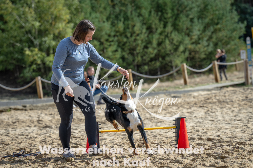 1438_ZZ91802 | kk-dogfotos