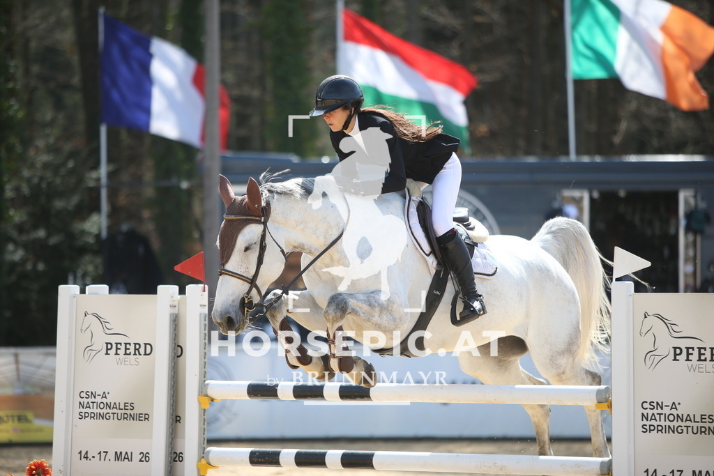PP015074 | Willkommen bei Brunnmayr - Design & Fotografie – Ihrem Spezialisten für Reitturniere und Pferdeveranstaltungen in Oberösterreich, Salzburg und Bayern! Seit über 17 Jahren sind wir leidenschaftlich dabei.