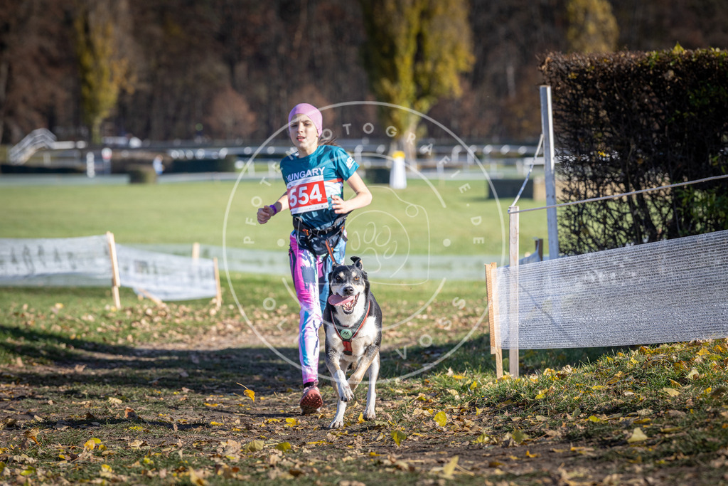 CaniXpix_DV3A8554 | Hundefotografie, Tierfotograf, Pfotenfotografie, Fotoshooting Hund, Hunde Portrait, Hundesport, Hundeportraits, Heideshooting, Hunde, Sportfotograf, Hundefotograf, Turnierhundsport, THS,  - Realisiert mit Pictrs.com
