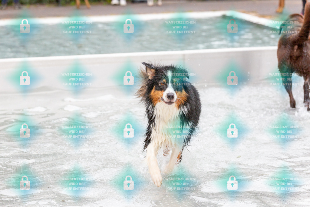 _HP_7396_1000o | HetPix, HetPix Fotodesign, Fotografie, Fotodesign, Webshop, Sportfotografie, Portraitfotografie, Onlineshop, Sportfotografie, Polch, Motorsportfotografie, Eventfotografie