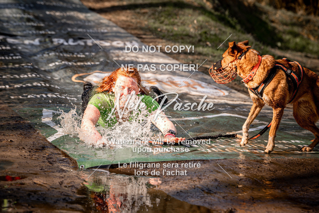 nelerasche_Hulsbeek_So1030-1100_245 | nelerasche