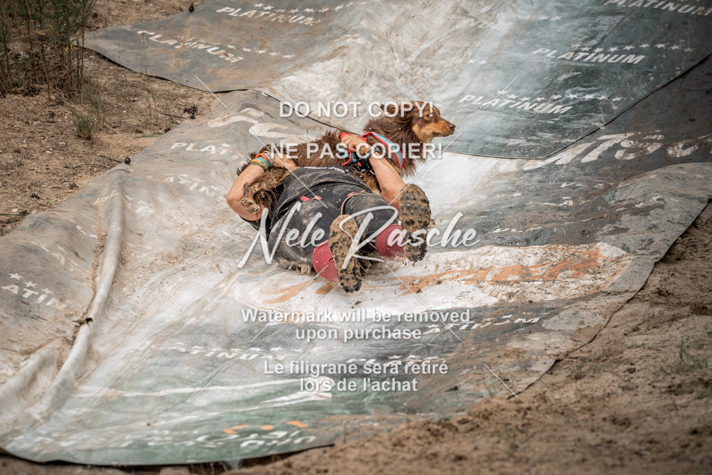 nelerasche_sa1200-1230_409 | nelerasche