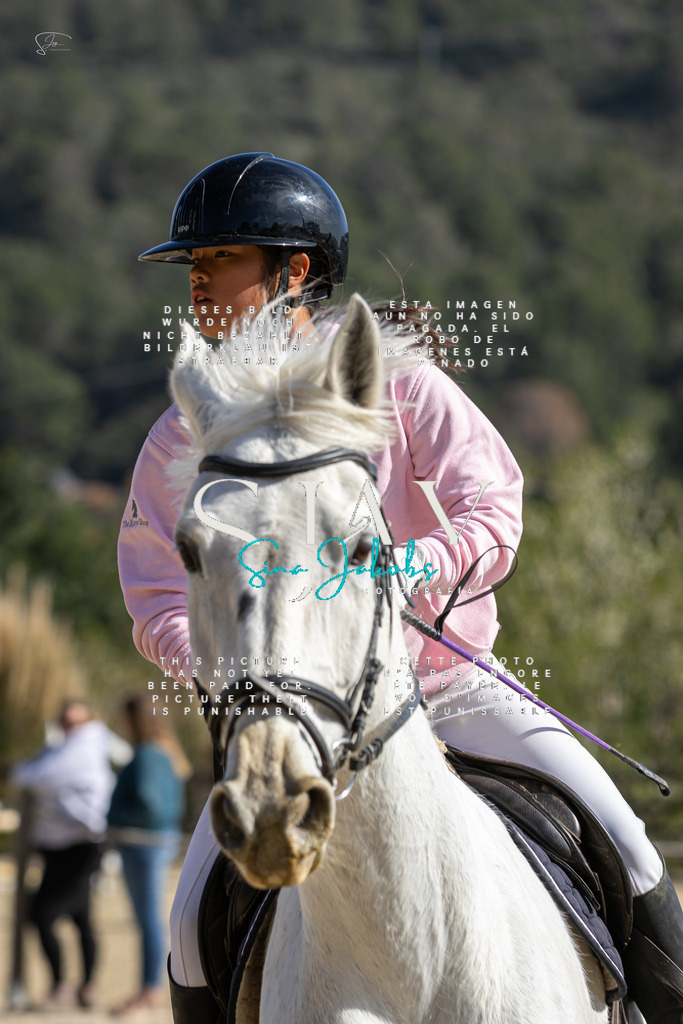 IMG_6216 | s-jay-photography - Realisiert mit Pictrs.com