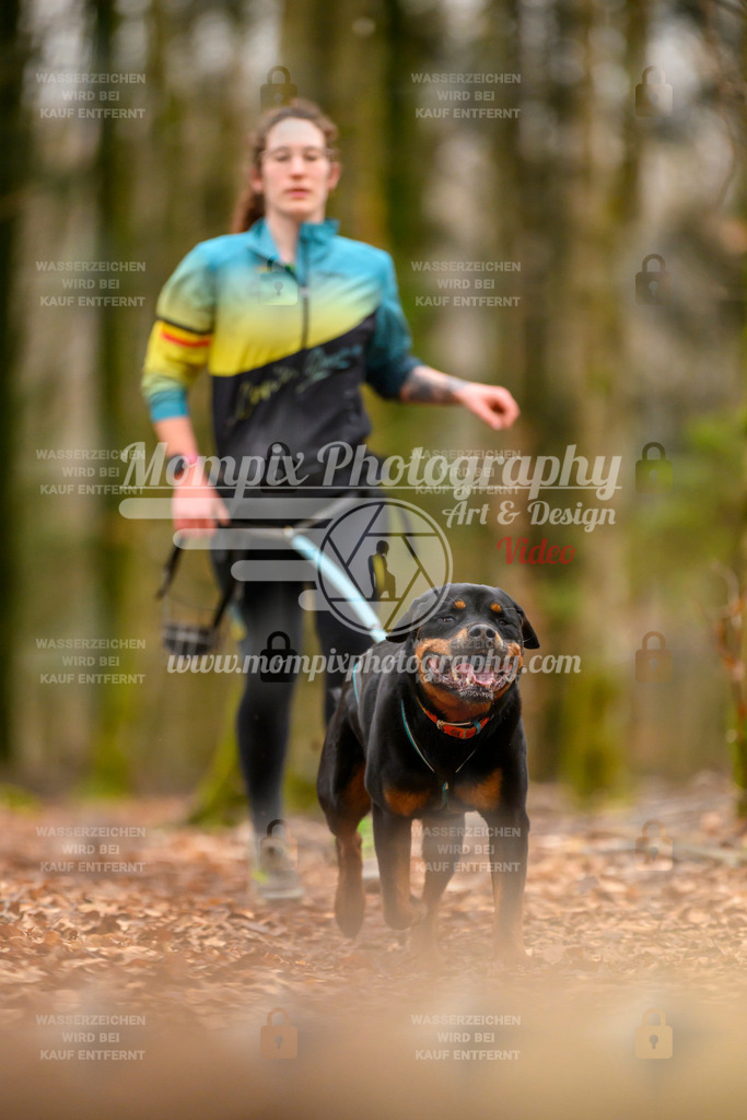 MompixPhotography_Habay2024_SA_Fun-77 | PayLife