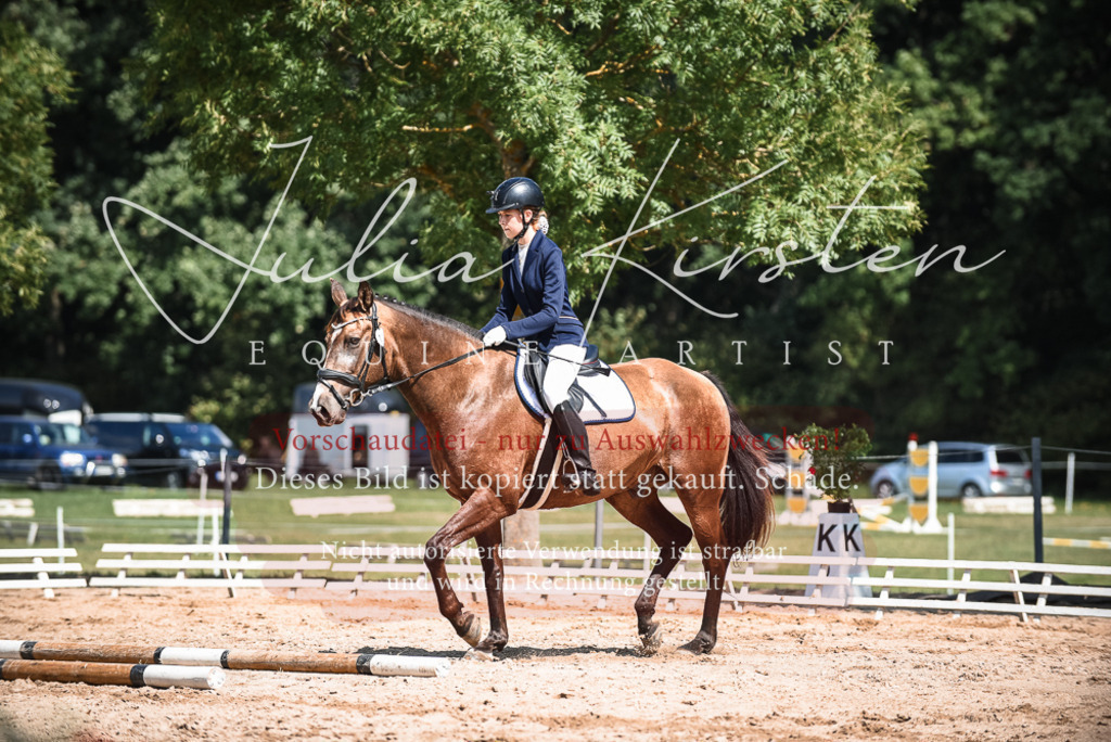 DSC_5042 | Pferde- und Turnierfotografie in Westsachsen. Pferdeportraits, Auftragszeichnungen und intuitive Kunst.