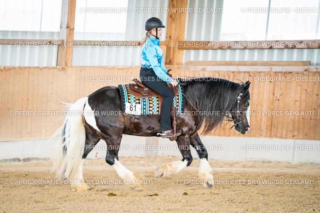 DSC08559 | Pferdegrafie