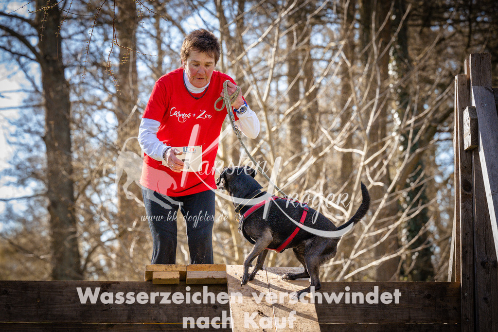 0901_ZZ93351 | kk-dogfotos