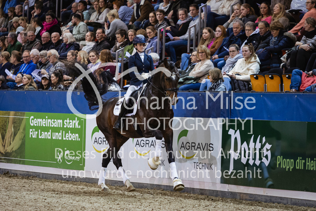 250108_Muenster_Hengstpräsentation-114 | Deine schönsten Turniermomente als professionelle Fotos! Entdecke hochwertige Pferdesport-Fotografie im Online-Shop. Jetzt Fotos finden & bestellen!
