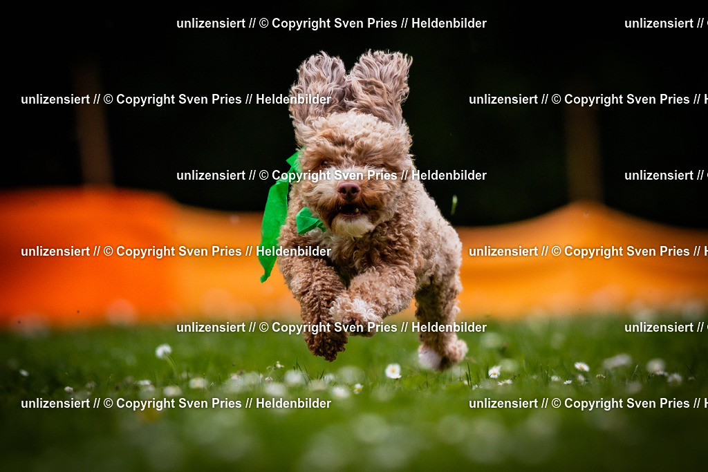 Sven Pries | 2025-05-29 - Pudelrennen KA-Durlach - Realisiert mit Pictrs.com